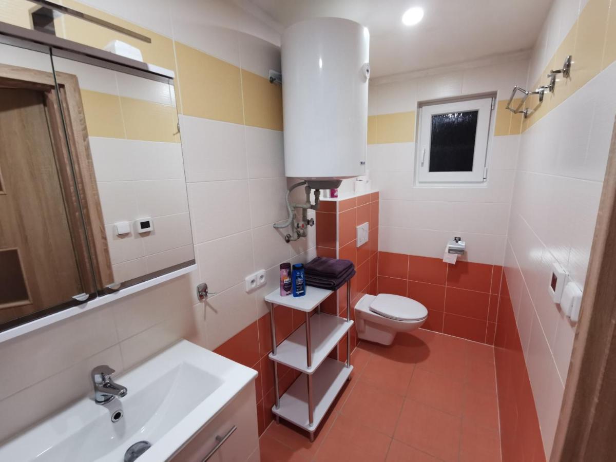 Apartmany Svitkov 79 帕尔杜比采 外观 照片