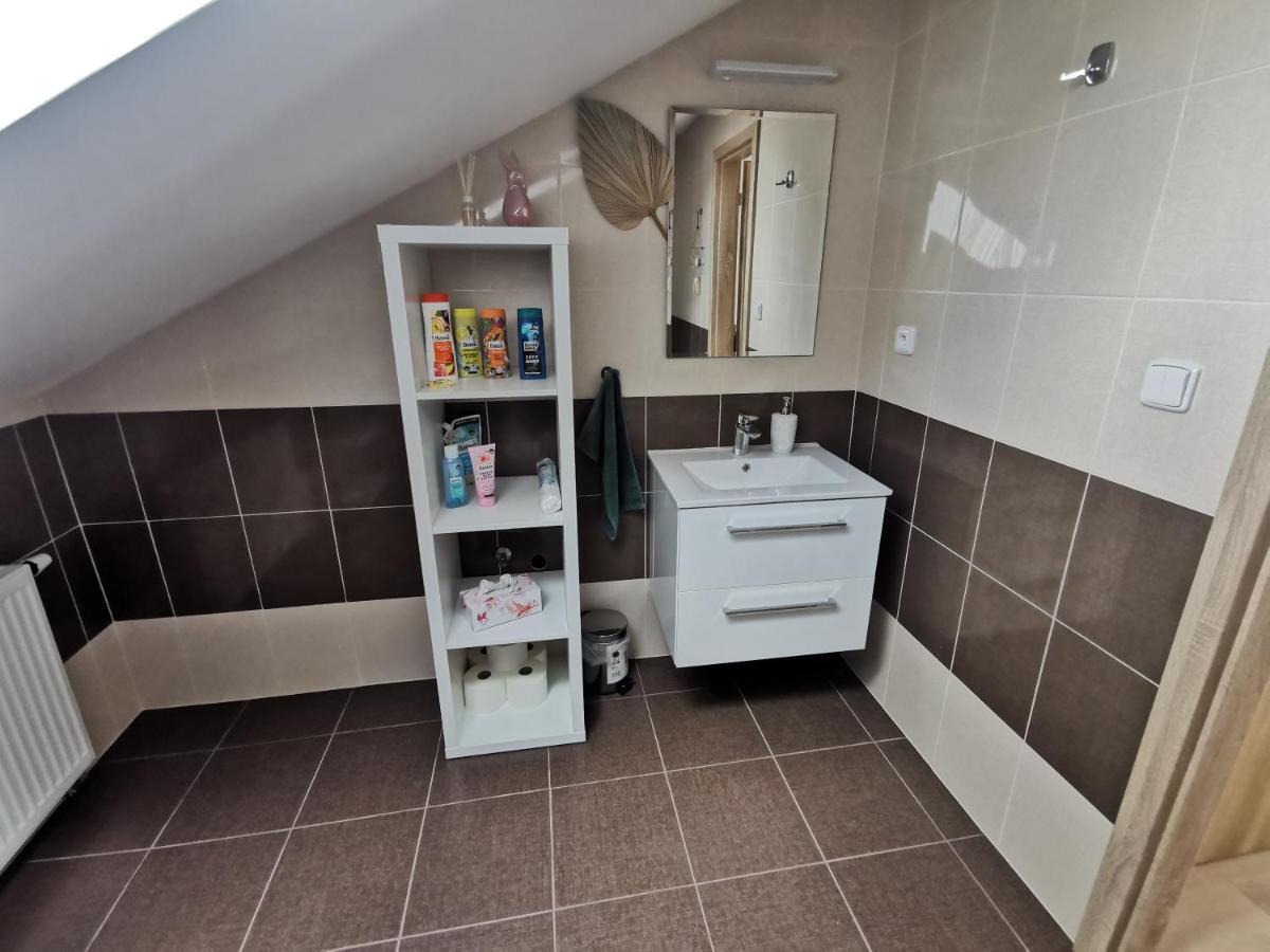 Apartmany Svitkov 79 帕尔杜比采 外观 照片