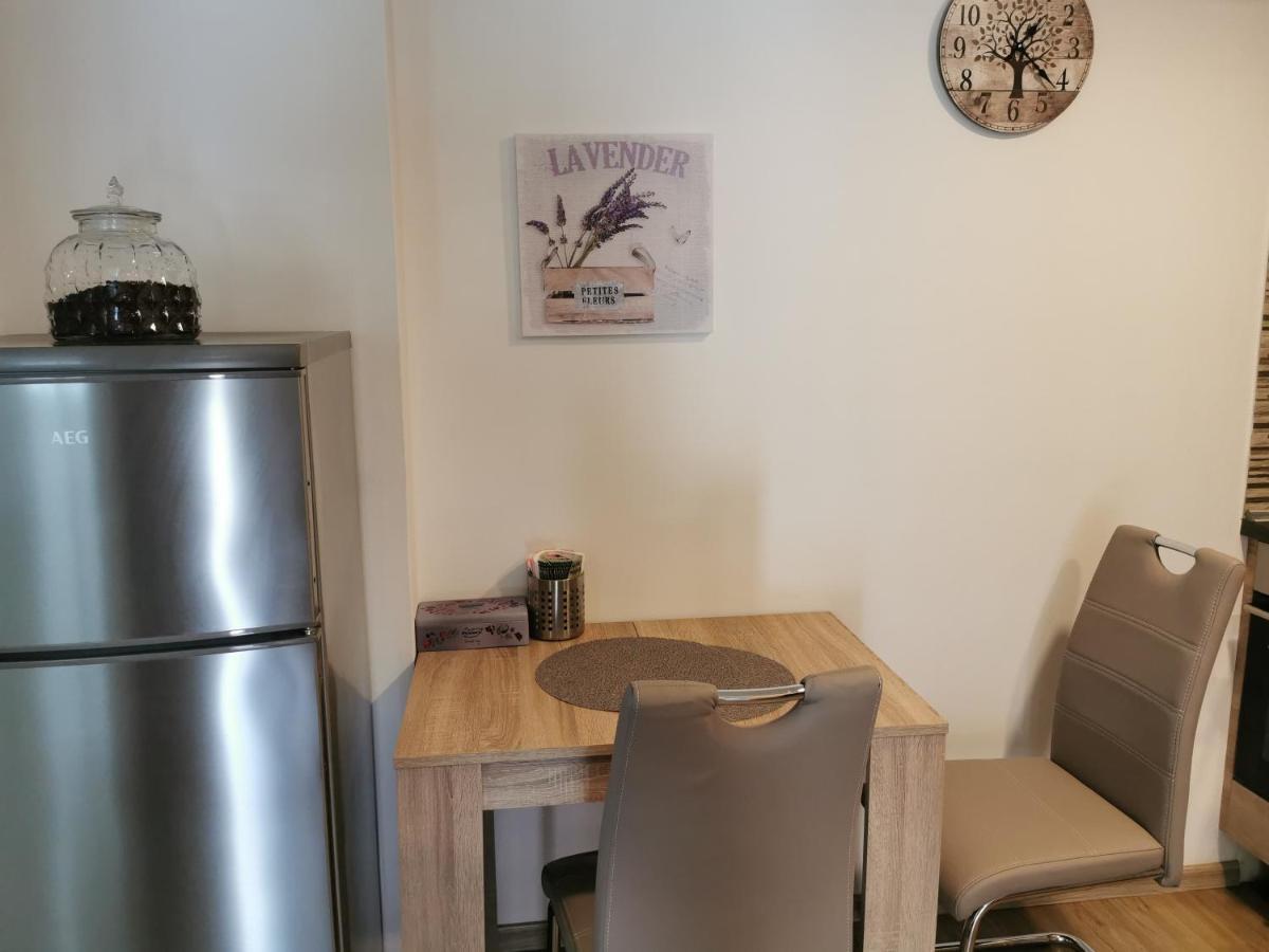 Apartmany Svitkov 79 帕尔杜比采 外观 照片