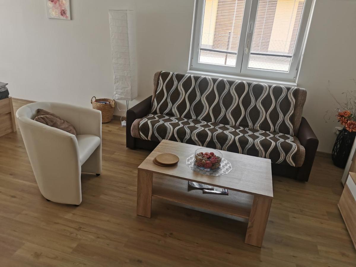 Apartmany Svitkov 79 帕尔杜比采 外观 照片