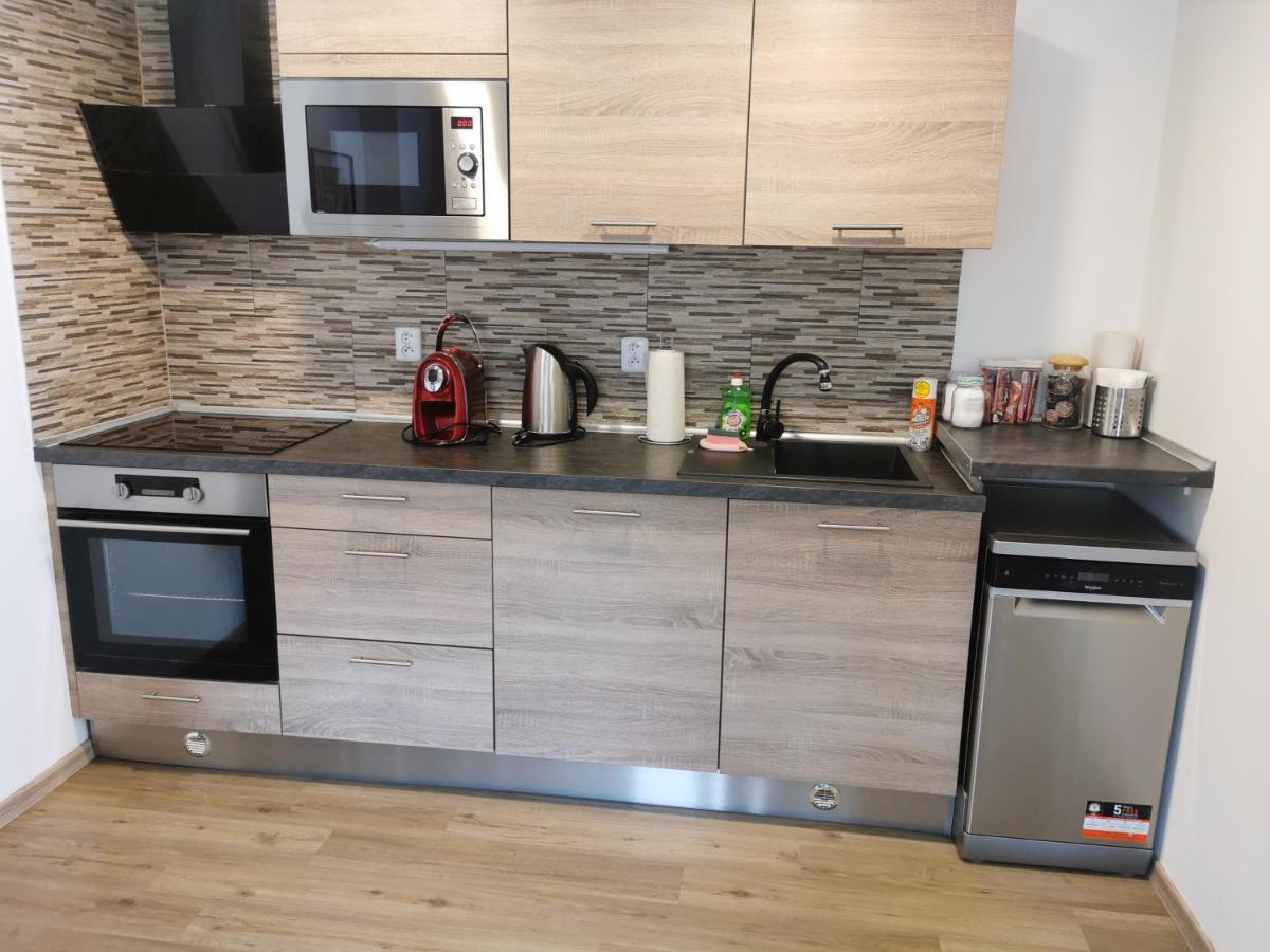 Apartmany Svitkov 79 帕尔杜比采 外观 照片