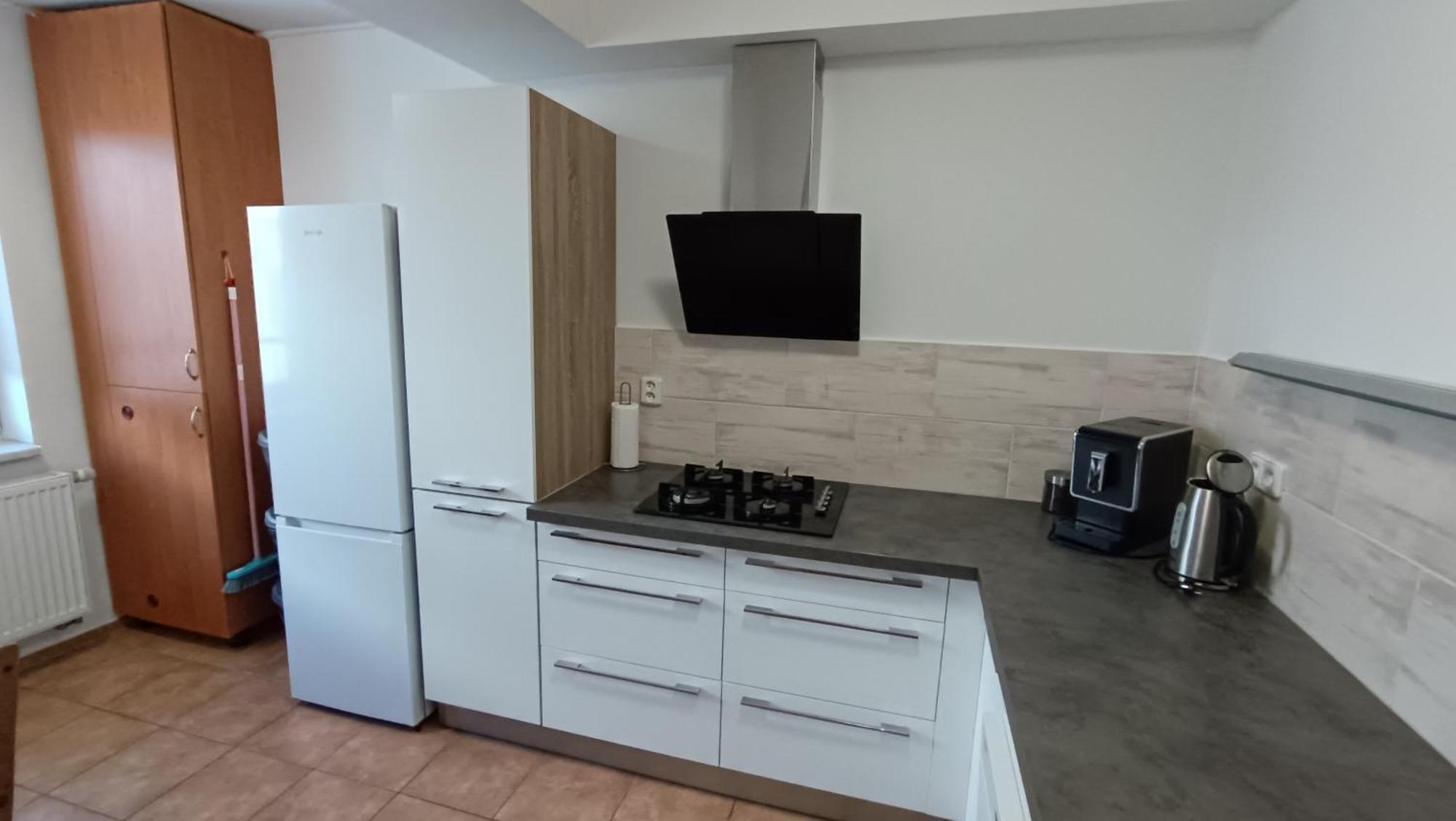 Apartmany Svitkov 79 帕尔杜比采 外观 照片