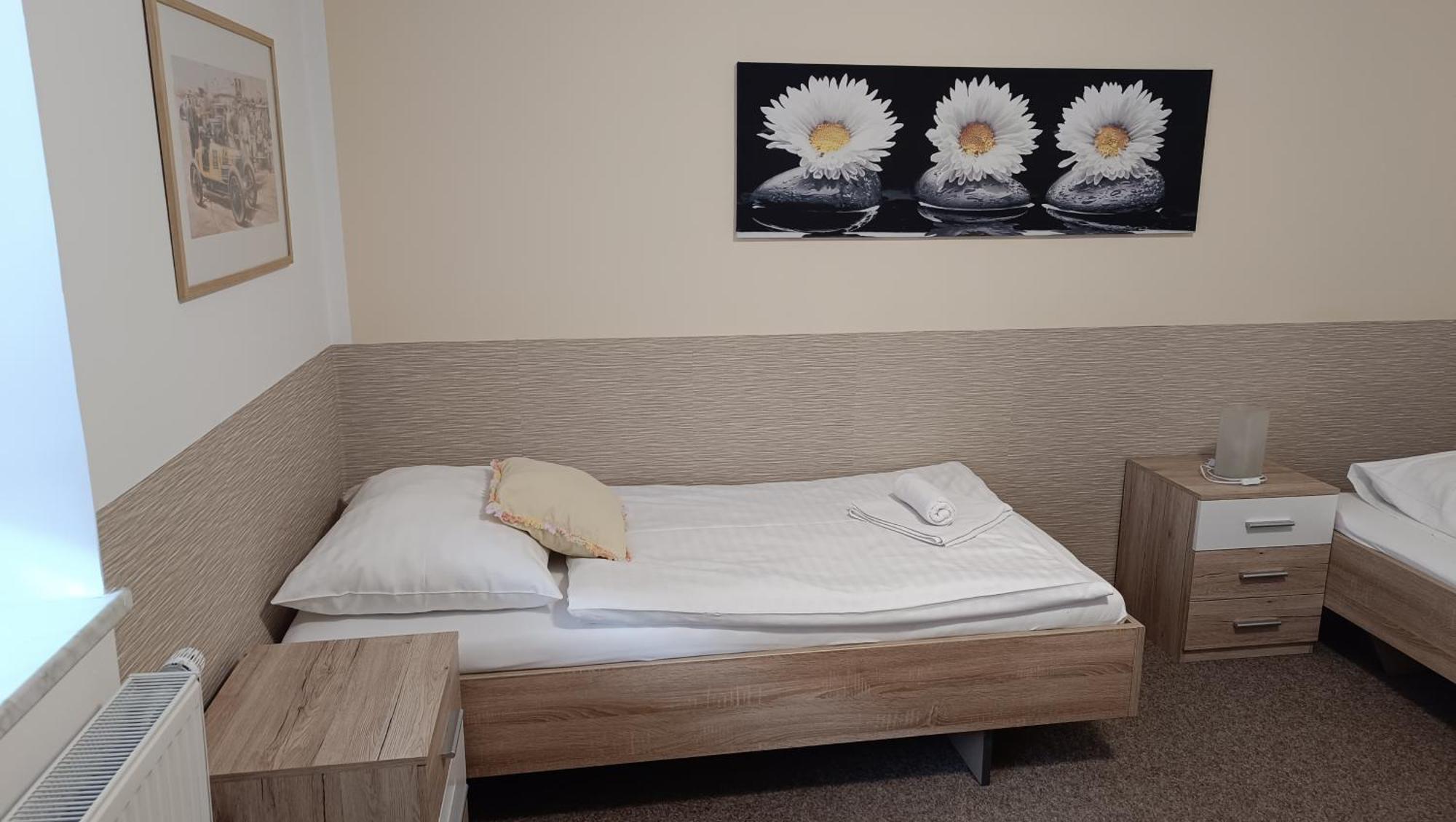 Apartmany Svitkov 79 帕尔杜比采 外观 照片