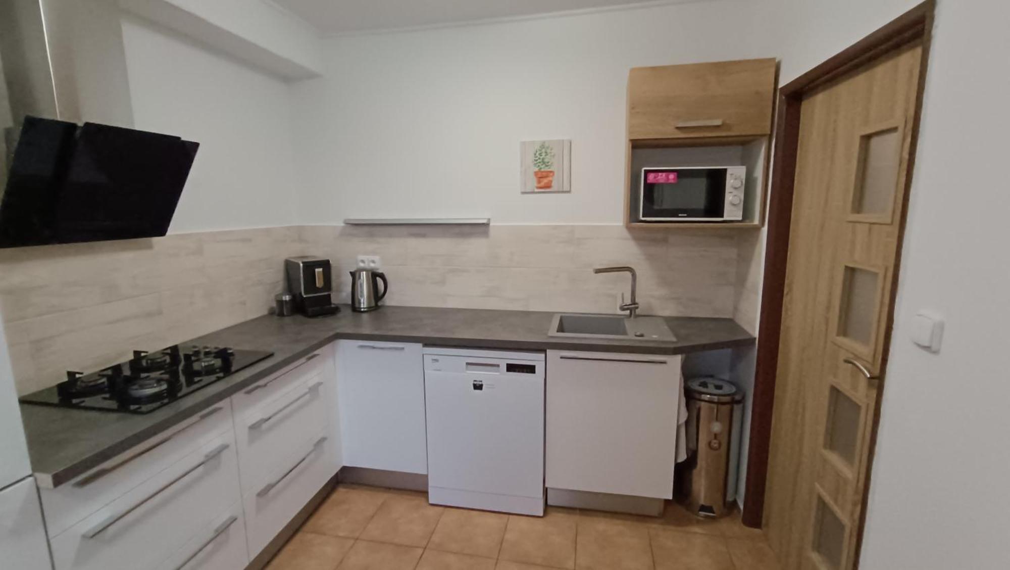 Apartmany Svitkov 79 帕尔杜比采 外观 照片