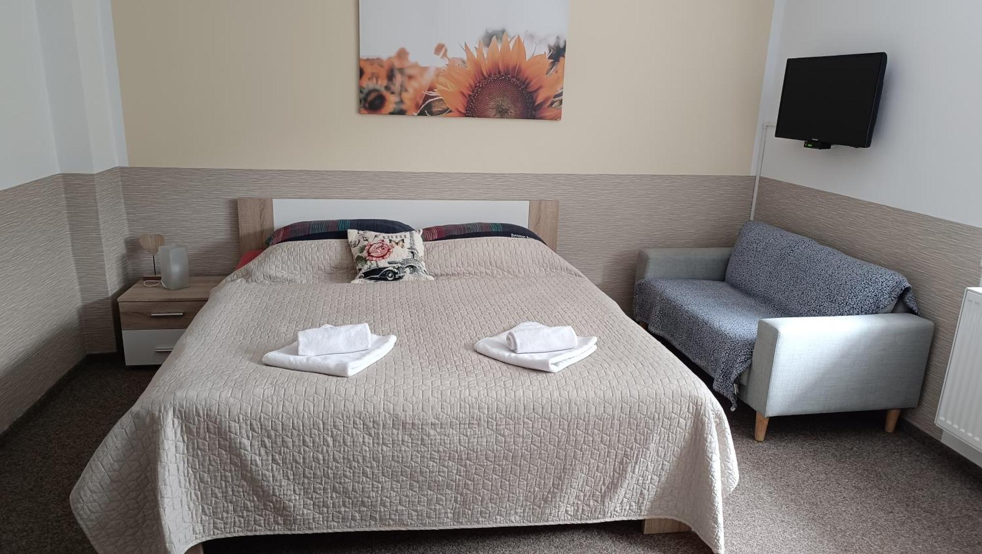 Apartmany Svitkov 79 帕尔杜比采 外观 照片
