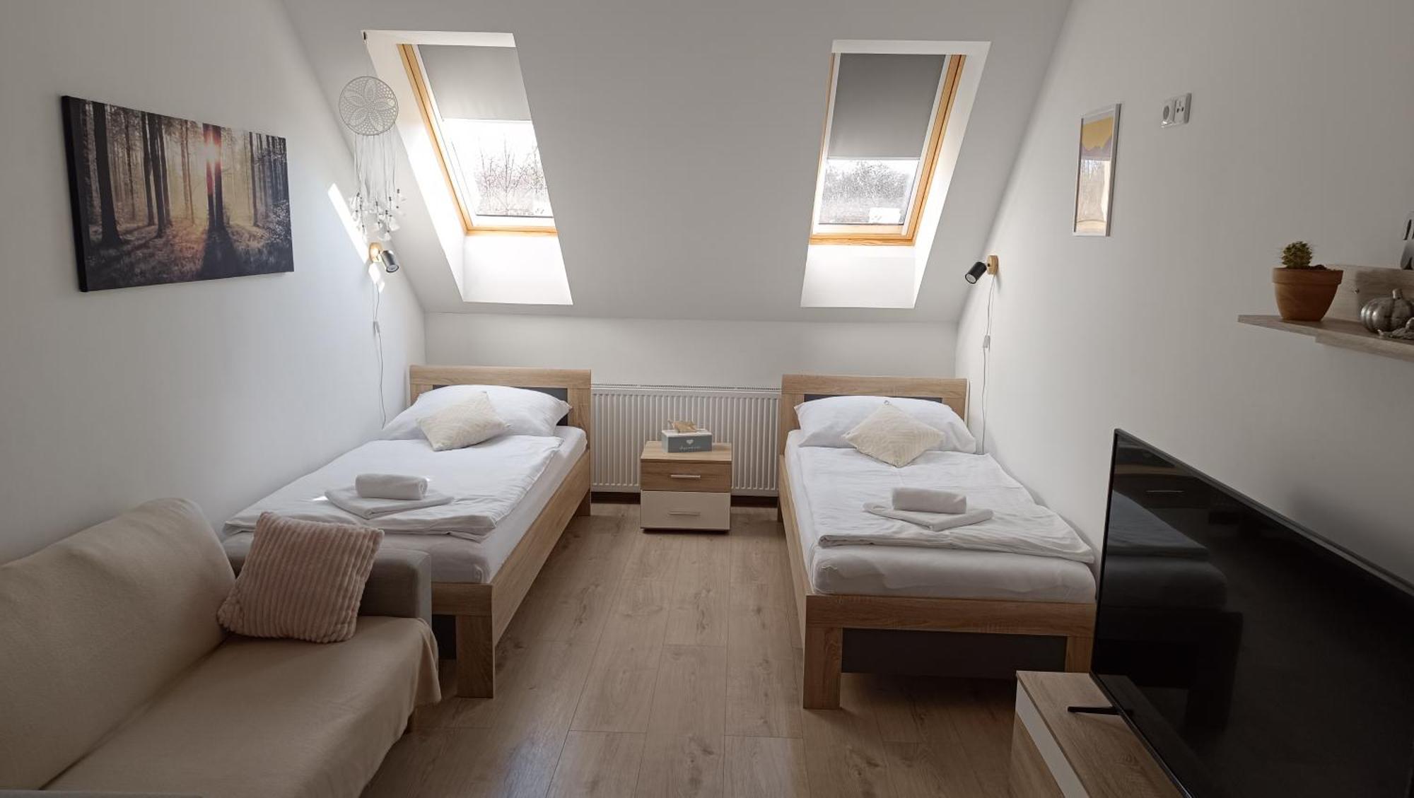 Apartmany Svitkov 79 帕尔杜比采 外观 照片